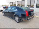 Cadillac Cts Standard 1G6DA5E52C0157973 снимка