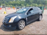 Cadillac Srx Premium Collection 3GYFNFEYXAS646986 снимка