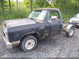 Dodge D-Series D100 1B7FE06Y8KS163513 снимка