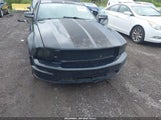 Ford Mustang Gt Deluxe/Gt Premium 1ZVHT82H055101087 fotografie