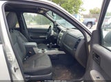 Ford Escape Xlt 1FMCU03178KE30349 снимка