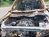 Nissan Titan Pro-4X 4X4 1N6AA1ED2PN118385 photo