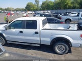 Ford F-150 Xlt 1FTVW1ET5EKE86281 снимка