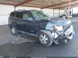 Ford Escape Xlt 1FMCU03138KE65292 снимка