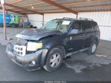 Ford Escape Xlt 1FMCU03138KE65292 снимка