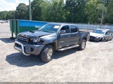 Toyota Tacoma Base V6 3TMLU42N39M025177 photo