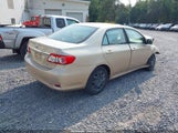 Toyota Corolla Le 2T1BU4EE0CC781508 снимка