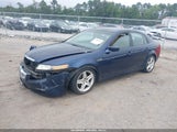 Acura Tl 19UUA66234A075318 снимка