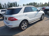 Mercedes-Benz Ml 350 4Matic 4JGDA5HB0FA580124 снимка