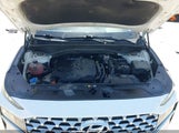 Hyundai Santa Fe Sel 5NMS34AJ8MH369242 fotografie