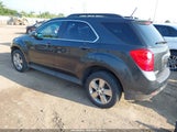 Chevrolet Equinox 1Lt 2GNFLEEK3D6256386 снимка