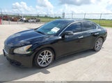Nissan Maxima 3.5 Sv 1N4AA5AP2BC817715 снимка