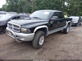 Dodge Dakota Slt 1D7HG48N34S677100 снимка