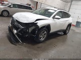 Hyundai Tucson Sel 5NMJBCAE5NH037899 снимка