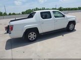Honda Ridgeline Rts 2HJYK16437H529859 снимка