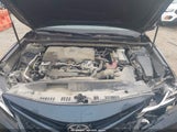 Toyota Camry Le/Xle 4T1B11HK5KU849355 снимка
