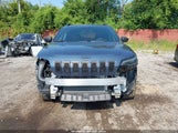 Jeep Cherokee 80Th Anniversary 4X4 1C4PJMMXXMD184694 fotografie