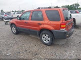 Ford Escape Xlt 1FMCU93Z67KA85288 снимка