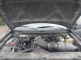 FORD F-150 XLT 1FTRW14W94KD23984 снимка