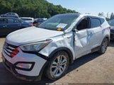 Hyundai Santa Fe Sport 2.0T 5XYZWDLA9DG070775 fotografie