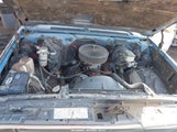 Chevrolet C10 1GCEC14H3FF358511 снимка