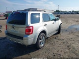 Ford Escape Xlt 1FMCU03739KA36420 снимка