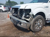 Ford F-150 Xlt 1FTFW1ET1CKD77205 снимка