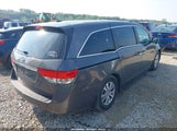 Honda Odyssey Ex-L 5FNRL5H60EB071275 снимка