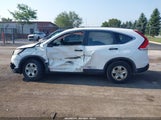 Honda Cr-V Lx 5J6RM4H33CL056416 снимка