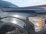 Ford F-150 Xlt 1FTEW1E5XJKD17899 снимка