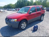Ford Escape Xlt/Xlt Sport 1FMYU93176KD49956 photo