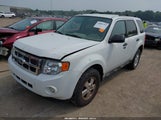Ford Escape Xlt 1FMCU9D7XCKB95235 снимка
