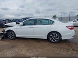 Honda Accord Ex-L 1HGCR2F87HA104696 снимка