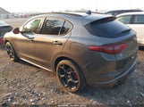 Alfa Romeo Stelvio Veloce Ti Awd ZASPAKBN6N7D44373 fotografie