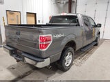 Ford F-150 Xlt 1FTFW1ET1EKE64685 снимка