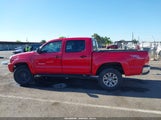 Toyota Tacoma Prerunner V6 5TEJU62N56Z161442 photo
