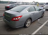 Nissan Maxima 3.5 S 1N4AA51E39C811141 снимка