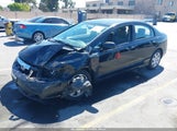 Honda Civic Lx 19XFA1F59AE068032 снимка