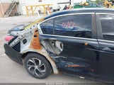 Miniaturka zdjęcia 6