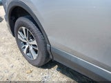 Toyota Rav4 Xle 2T3WFREV2HW382721 снимка