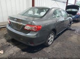 Toyota Corolla Le 2T1BU4EE0CC818721 fotografie