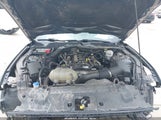 Ford Mustang Ecoboost Fastback 1FA6P8TH0M5113922 снимка