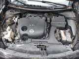 Nissan Maxima 3.5 Sv 1N4AA5AP3DC837667 снимка