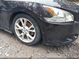 Nissan Maxima 3.5 Sv 1N4AA5AP3DC837667 снимка
