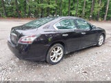 Nissan Maxima 3.5 Sv 1N4AA5AP3DC837667 снимка