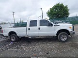 Ford F-250 Xl 1FT7W2B68FED50465 fotografie