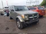 Dodge Nitro Slt/Rt 1D8GT58K17W556335 fotografie