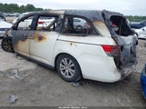 Honda Odyssey Ex-L 5FNRL5H67HB004712 снимка