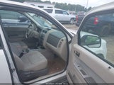FORD ESCAPE XLT 1FMCU0D7XAKD34093 fotografie