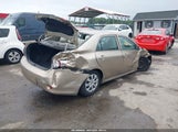 Toyota Corolla Le 2T1BU4EE6AC502673 снимка